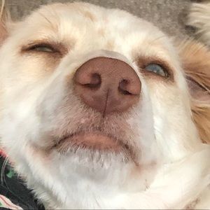 Meet your Posher, Rainy